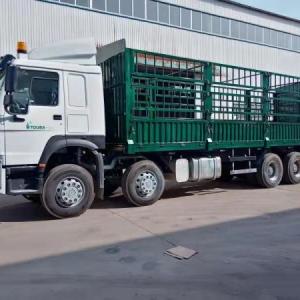 SINOTRUK HOWO cargo truck 6x4